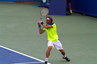 Ferrer vs Harrison