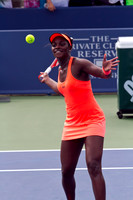 Stephens vs Martic